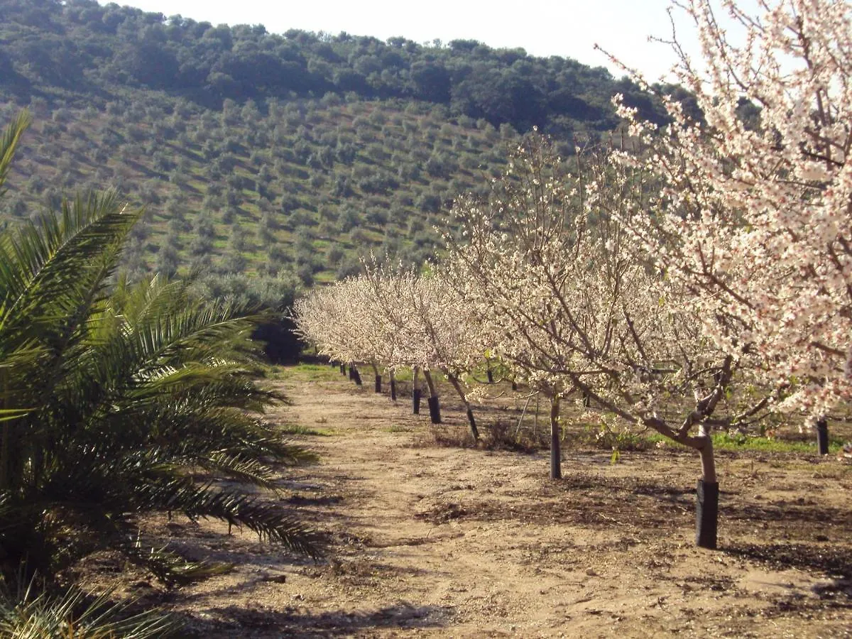 Cosy House In Estepa With Mountain View Lora de Estepa Holiday home