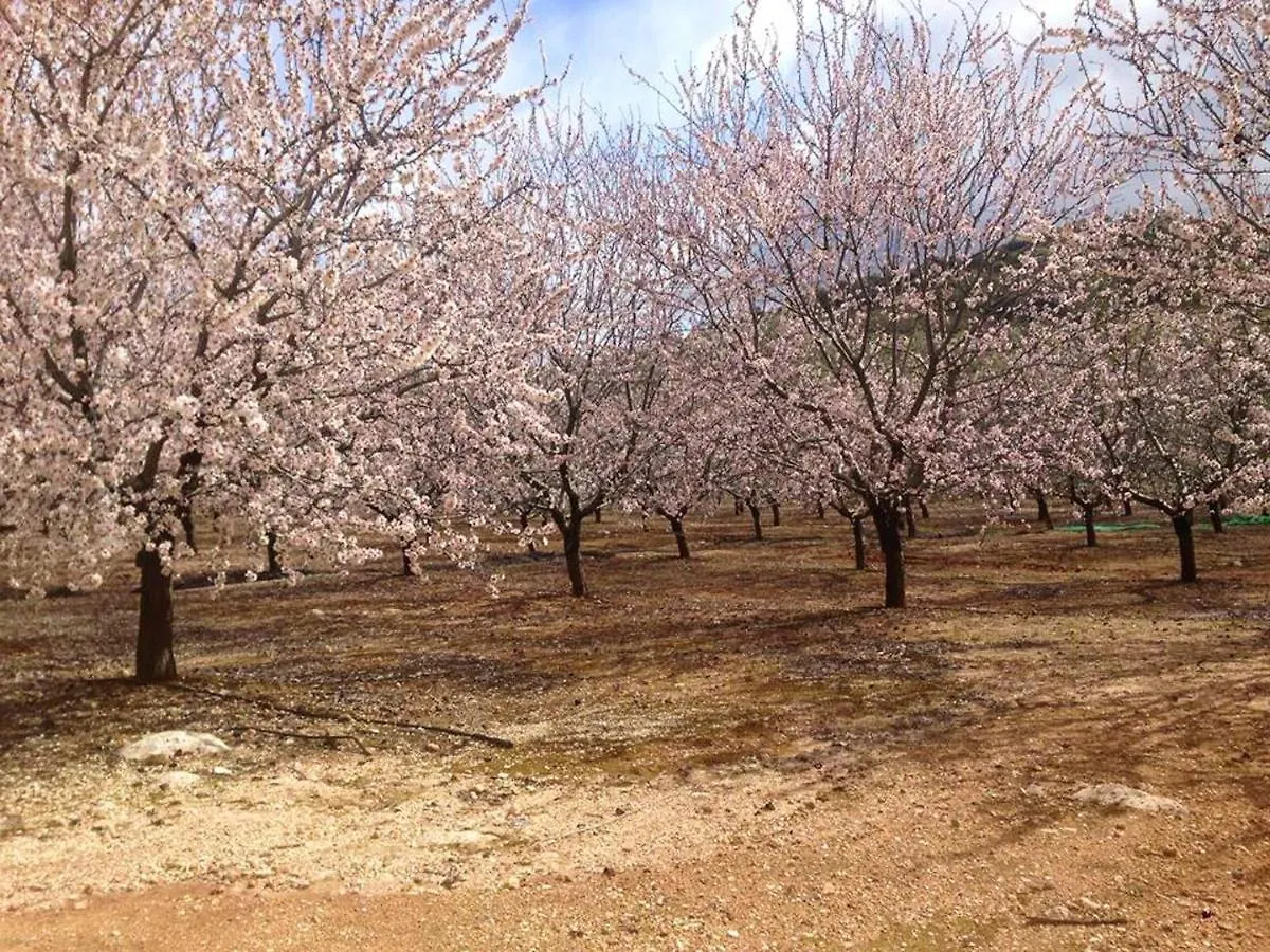 Cosy House In Estepa With Mountain View Lora de Estepa